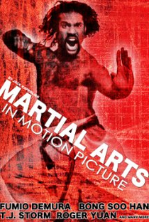 Martial Arts in Motion Picture - Poster / Capa / Cartaz - Oficial 1