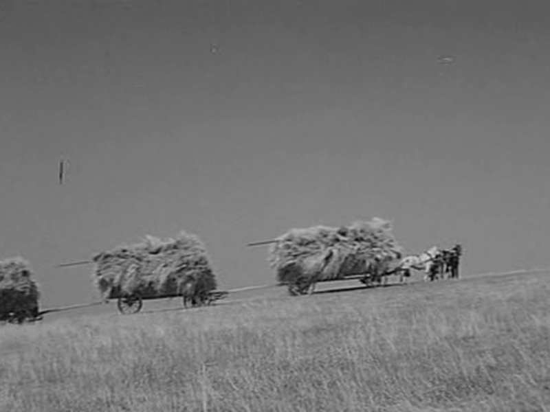 Foto 10 de Viva a República