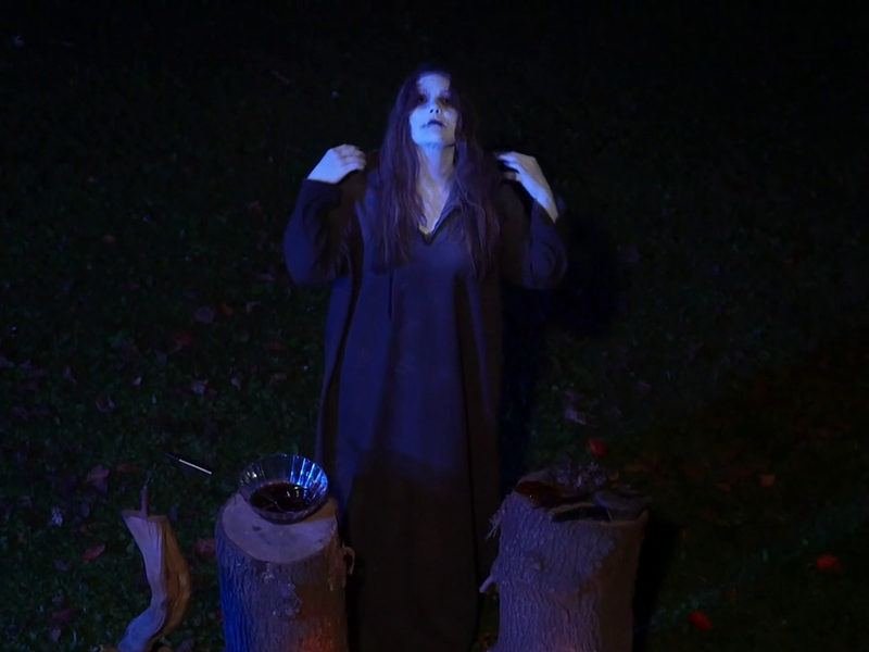 Foto 14 de The Stalking