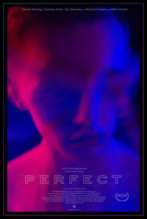 Perfect - Poster / Capa / Cartaz - Oficial 2