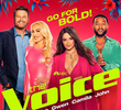 The Voice (22ª Temporada)