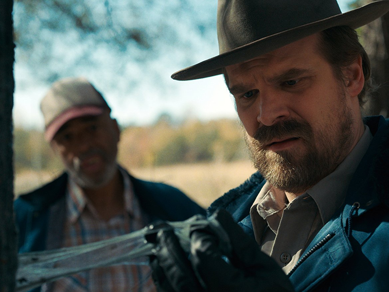 Foto 28 de Stranger Things (2ª Temporada)