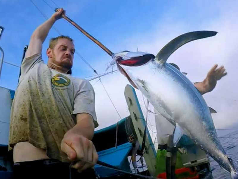 Foto 3 de Pesca Implacável