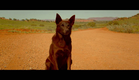 RED DOG: True Blue (2016) Teaser Trailer [HD] - Levi Miller, Bryan Brown