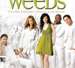 Weeds (3ª Temporada)