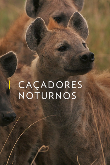 Poster de Série Caçadores Noturnos (2011)