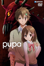 Pupa (ピューパ)