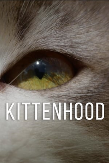 Poster de Filme Kittenhood (2015)