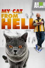 Meu Gato Endiabrado (My Cat From Hell)