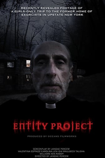 Entity Project (Entity Project)