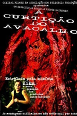 A Curtição do Avacalho (A Curtição do Avacalho)