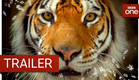 Big Cats: Trailer - BBC One