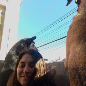 Foto de perfil de calolina