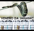 O Veneno da Jararaca: Acesso ao Patrimônio Genético Brasileiro
