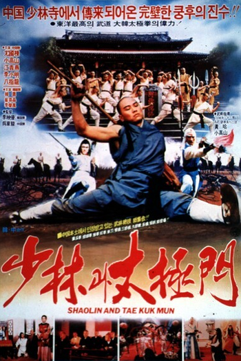 Poster de Filme Shaolin and Taichi (1983)