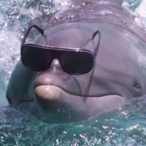 Foto de perfil de Vitor Marques