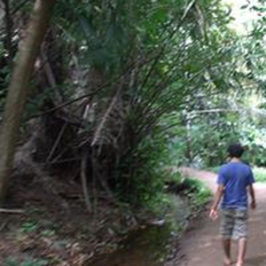 Foto de perfil de Daniel