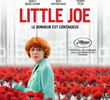 Little Joe: A Flor da Felicidade