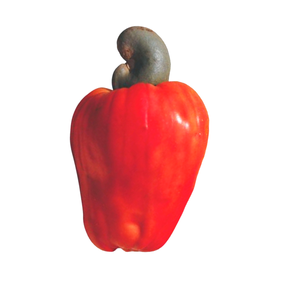 Foto de perfil de Diogo