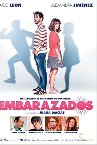 Poster 2 de Filme We Are Pregnant (2016)