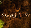 The Swallow