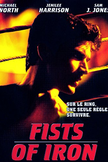  de Filme Punhos de Aço (1995)