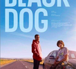Black Dog