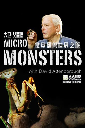  de Série O Micromundo dos Artrópodes (2013)