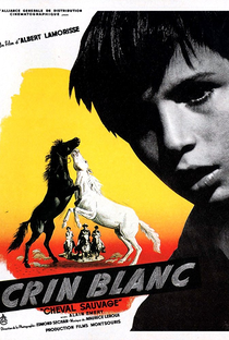 O Cavalo Branco - Poster / Capa / Cartaz - Oficial 2