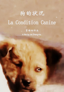 A Condição Canina (狗的状况)