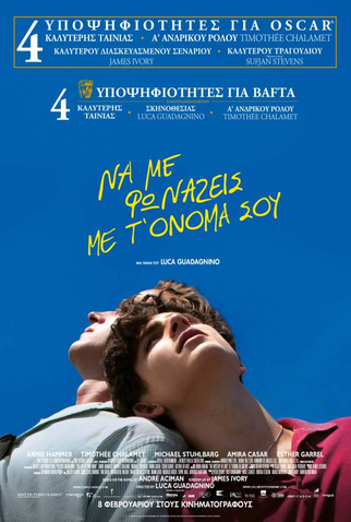 Poster 28 de Filme Me Chame Pelo Seu Nome (2017)