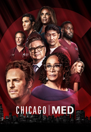 Chicago Med: Atendimento de Emergência (7ª Temporada) (Chicago Med (Season 7))