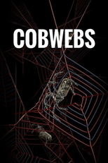 Cobwebs (Cobwebs)