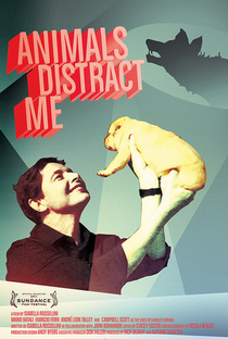 Os Animais me Distraem - Poster / Capa / Cartaz - Oficial 1