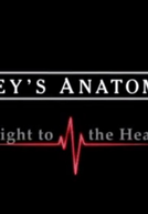 Grey's Anatomy: Straight to the Heart (Grey's Anatomy: Straight to the Heart)