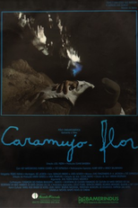 Caramujo-Flor (Caramujo-Flor)