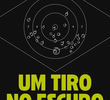 Um Tiro No Escuro