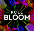 Full Bloom
