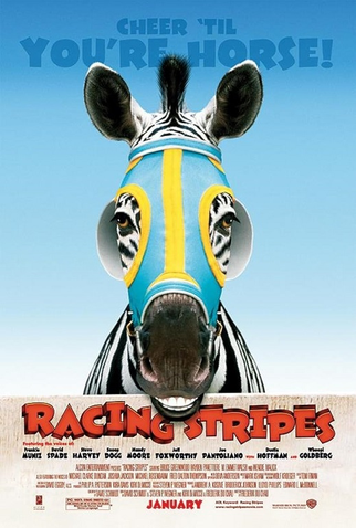 Poster 1 de Filme Deu Zebra! (2005)