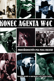The End of Agent W4C - Poster / Capa / Cartaz - Oficial 1