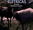 Ovelhas Elétricas