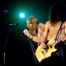 Foto de perfil de Gil Tavares