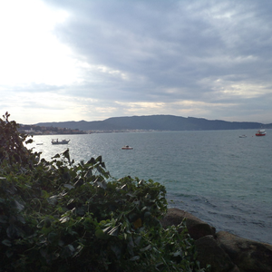 Foto de perfil de Catarina