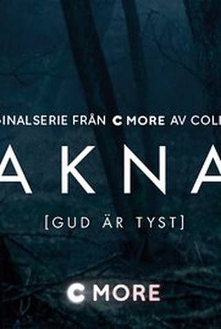 Poster 1 de Série Saknad (2017)