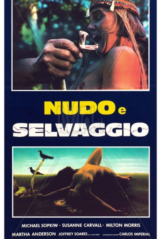 Poster 4 de Filme Perdidos no Vale dos Dinossauros (1985)