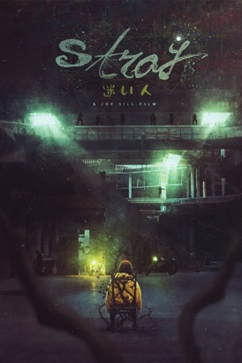  de Filme Stray (2019)