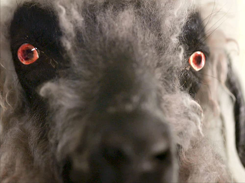 Foto 1 de Jenny Loves Satan