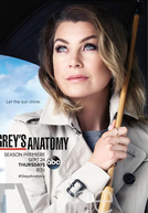 A Anatomia de Grey (12ª Temporada) (Grey's Anatomy (Season 12))