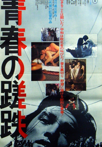 Bitterness of Youth (青春の蹉跌)