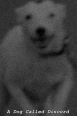 A Dog Called Discord (A Dog Called Discord)